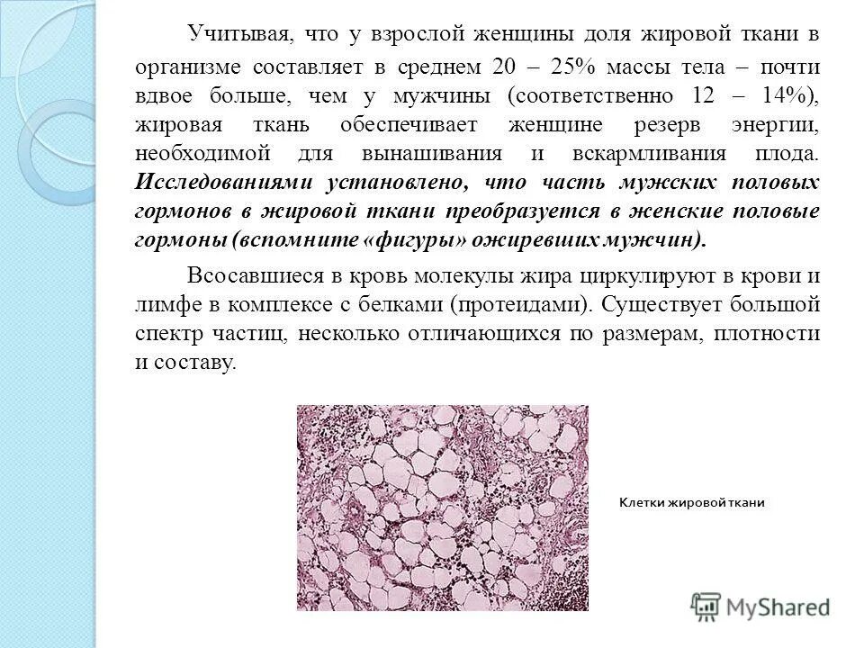 Жировая ткань латынь. Жировая ткань в организме. Жировая ткань локализация в организме. Состав жировой ткани. Адипозная ткань в организме.