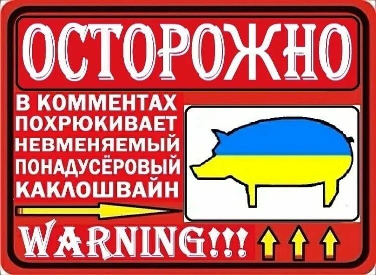 Осторожно русский язык. Осторожно в комментариях хохол. осторожно обнаружен хохол. осторожно в комментах похрюкивает. осторожно в комментариях похрюкивает каклошвайн.