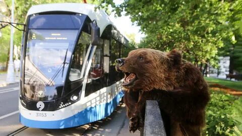 Москва подожди