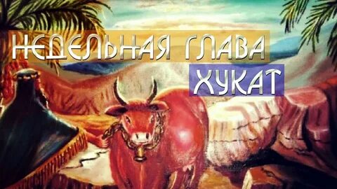 Недельная глава торы