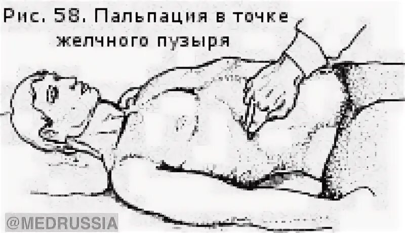Proektsionnye_linii,oblasti_i_tochki_na_tele_cheloveka - Стр 10