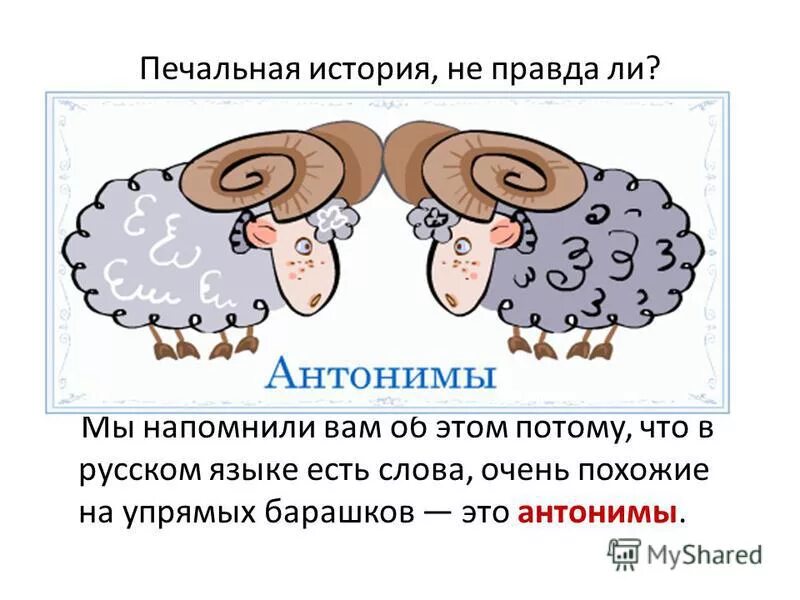 Упрямый антоним