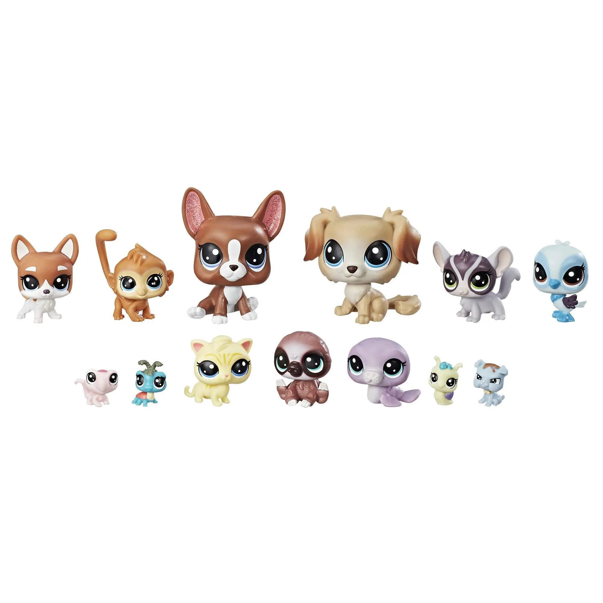 Стр пэты. Игровой набор Littlest Pet shop коллекция петов b9343. Littlest Pet shop семья петов. Littlest Pet shop Toys. Little Pet shop Рокси.