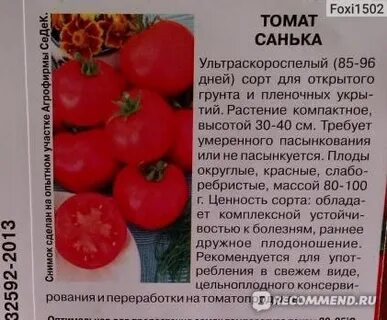 Ультраскороспелый томат описание сорта фото отзывы характеристика
