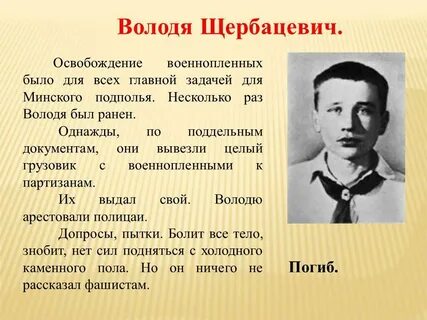 Что такое нармолдаки