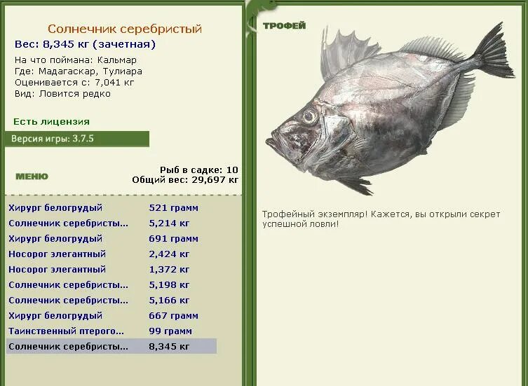 солнечник актинофрис. Acanthocystis antonkomolovi. фораминифера радиолярия солнечник амеба протей. центрохелидные солнечники. трофейные солнечник.