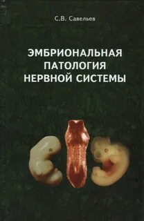 Патология птиц