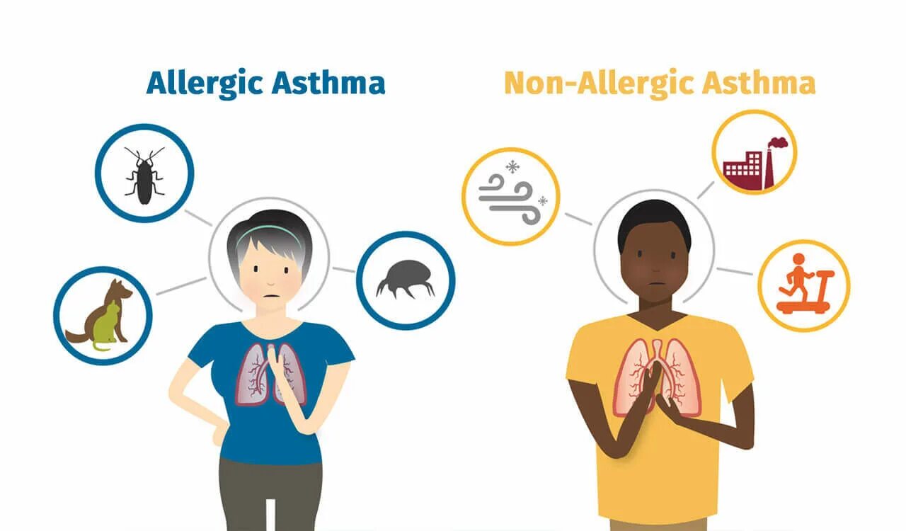 Non allergic asthma. Asthma Symptoms. Asthma and Allergies. Бронхиальная астма на английском.