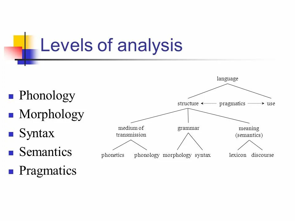 Grammar Morphology syntax. Language structure. Phonology Morphology syntax. Morphological and syntactic structure.