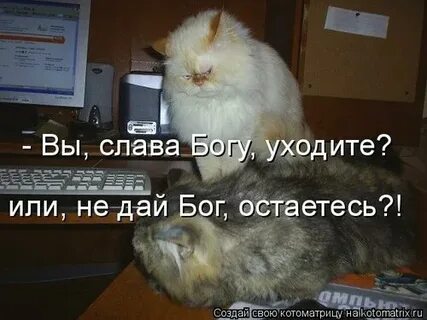 Прикол дай бог