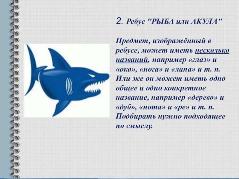 Слова рыба ответы. Ребус акула. Сочинение про акулу. Ребус со словом акула. Ребус рыба.