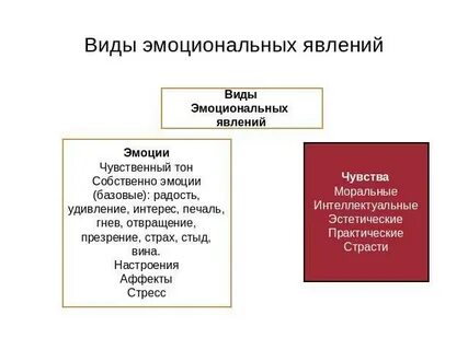 Феномен эмоции