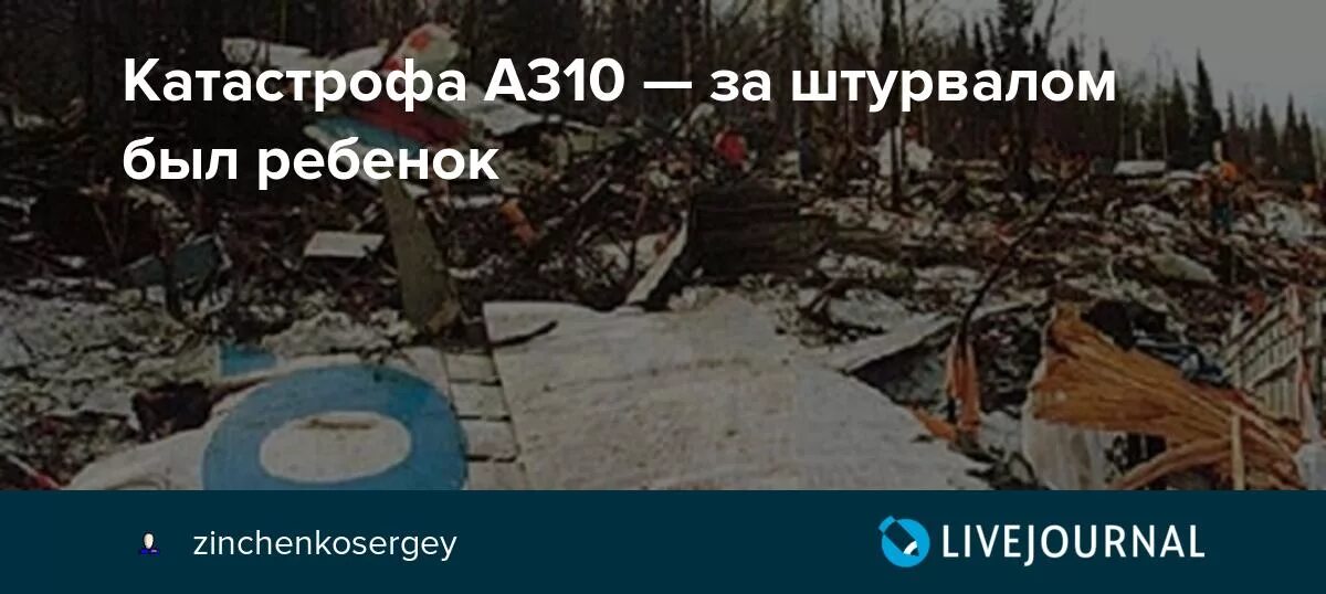 Авиакатастрофа междуреченск 1994. А310 катастрофа катастрофа. Аэробус а310 катастрофа 1994. Катастрофа a310 под Междуреченском. Место крушения а310 в Междуреченске.