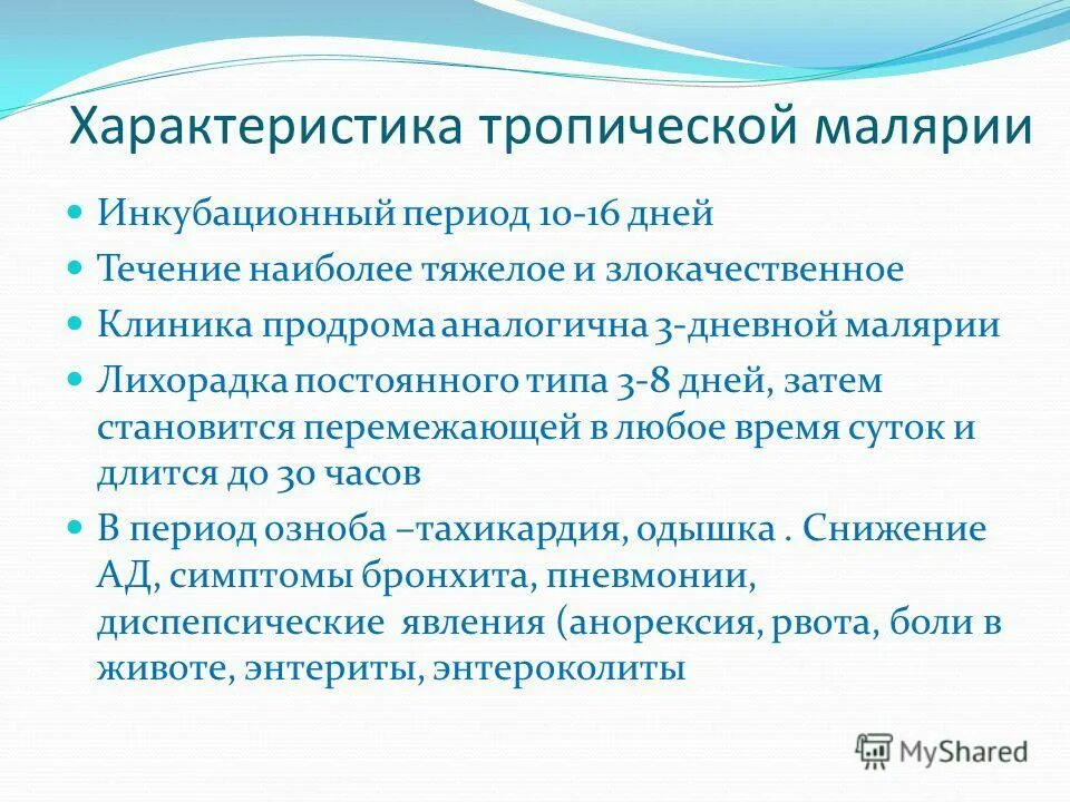 тропический адаптивный тип характеризуется. тропический свойства. осадки в тропическом поясе. характеристика тропического климатического пояса 7 класс. тропические воздушные массы.