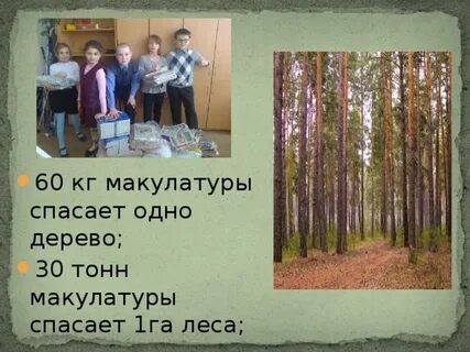 Сколько деревьев спасает 1 тонна