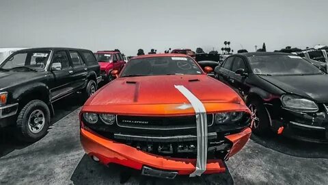 Bit cars