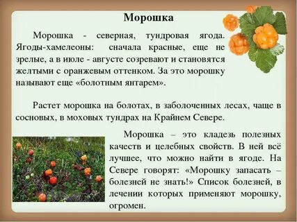 Как подключить ребенка к морошке