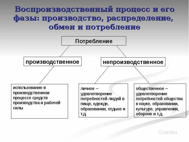 Общественное производство хозяйственная деятельность