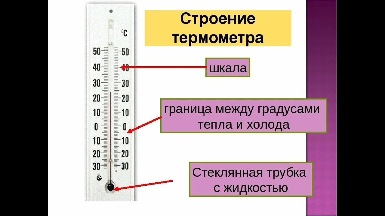 Температура 29 5. Строение ртутного термометра. Строение градусника. Составные части термометра. Шкала термометра.
