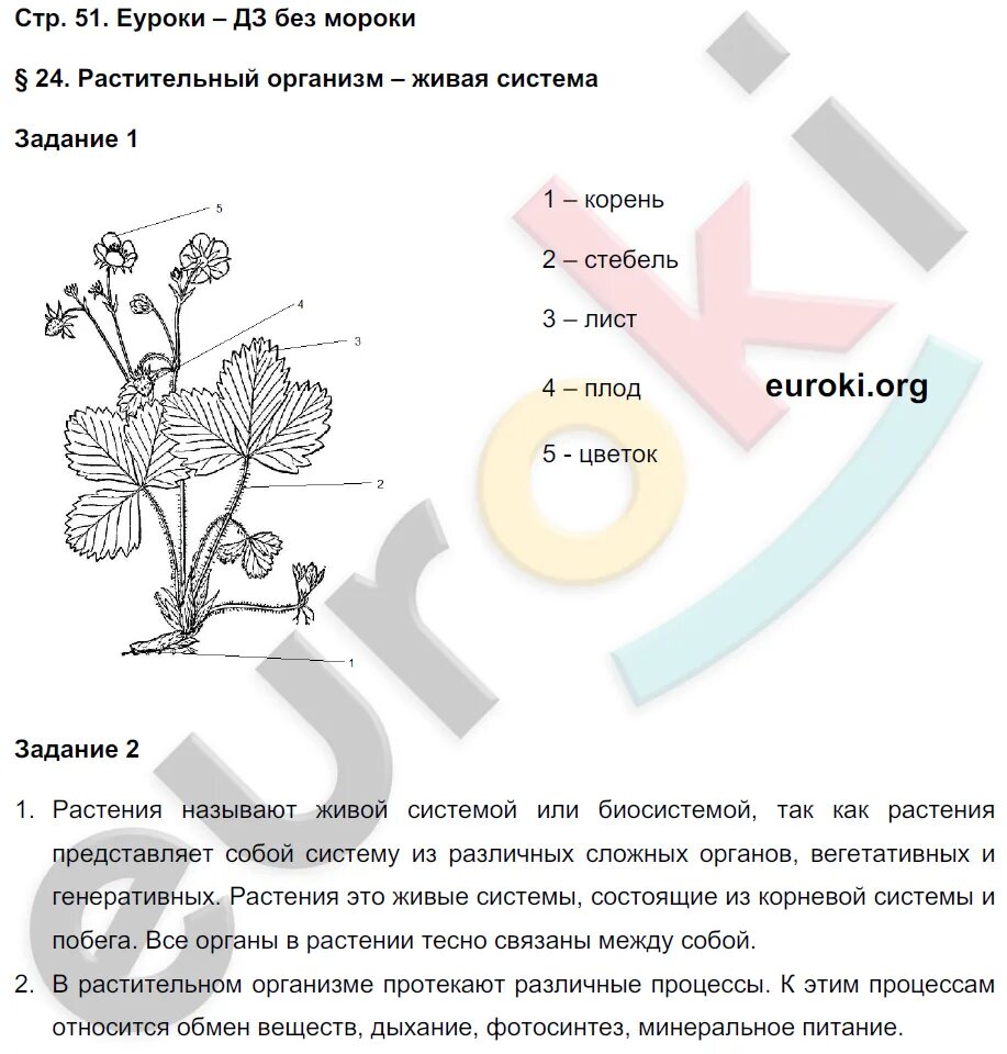 Краткий пересказ 16 параграфа биология 6 класс. Домашнее задание по биологии. Задания по биологии 7 класс. Задания по биологии 5 класс. Тетрадь по биологии 6 класс.