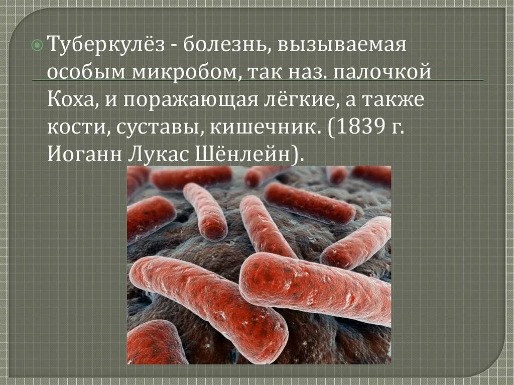 Туберкулез биология. Микобактерия туберкулеза палочка Коха. Палочки – микобактерия туберкулеза. Палочка Коха форма бактерии. Палочка Коха Надцарство.