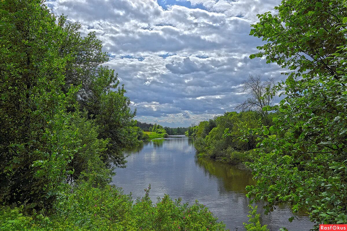 озеро клязьма. берег реки ока слемы. река нерль клязьминская. клязьма какое течение быстрое или медленное. клязьма какое течение быстрое или медленное.