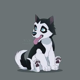 Furry puppy