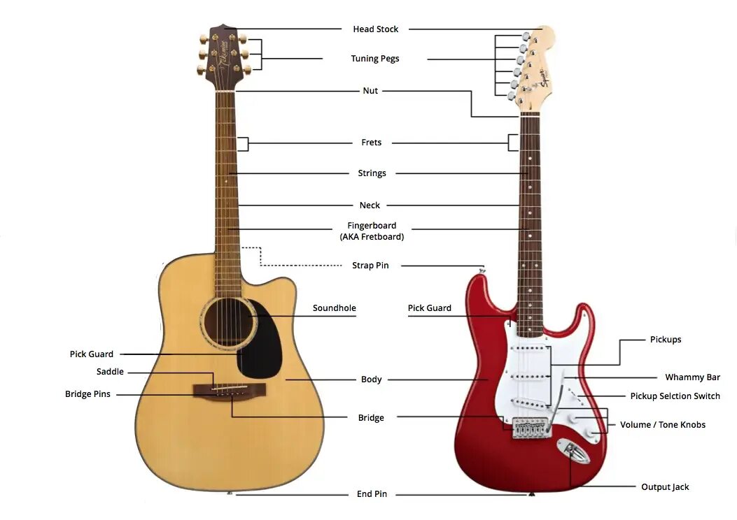 Электрогитара для начинающих. Название частей электрогитары. Анатомия гитары.