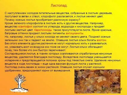 Осенний листопад какой фактор