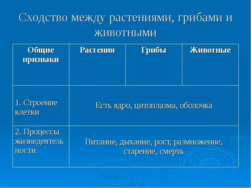 Сходство и различие грибов растений и животных. Различие между грибами и растениями. Сходство между грибами и растениями. Сходства и различия грибов и животных.