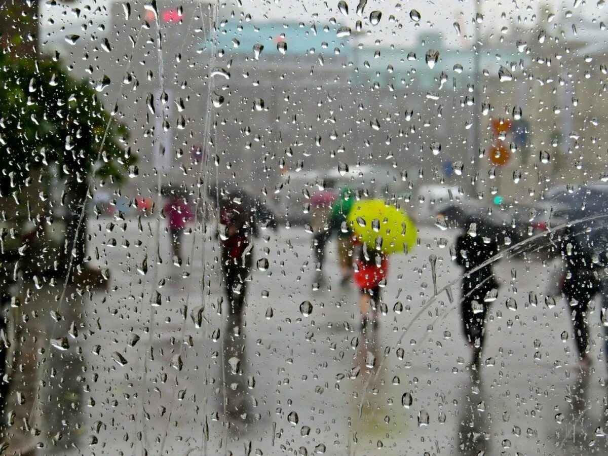 Открытка дождливая погода. Дождь за окном. Дождливый день. Дождь в окне. Дождик.