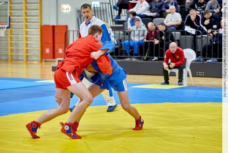 Первенство пфо по самбо 2024. Бийск СФО по самбо 2014 год. СФО по самбо город Бийск 2015. ДФО по самбо Петропавловск-Камчатский.