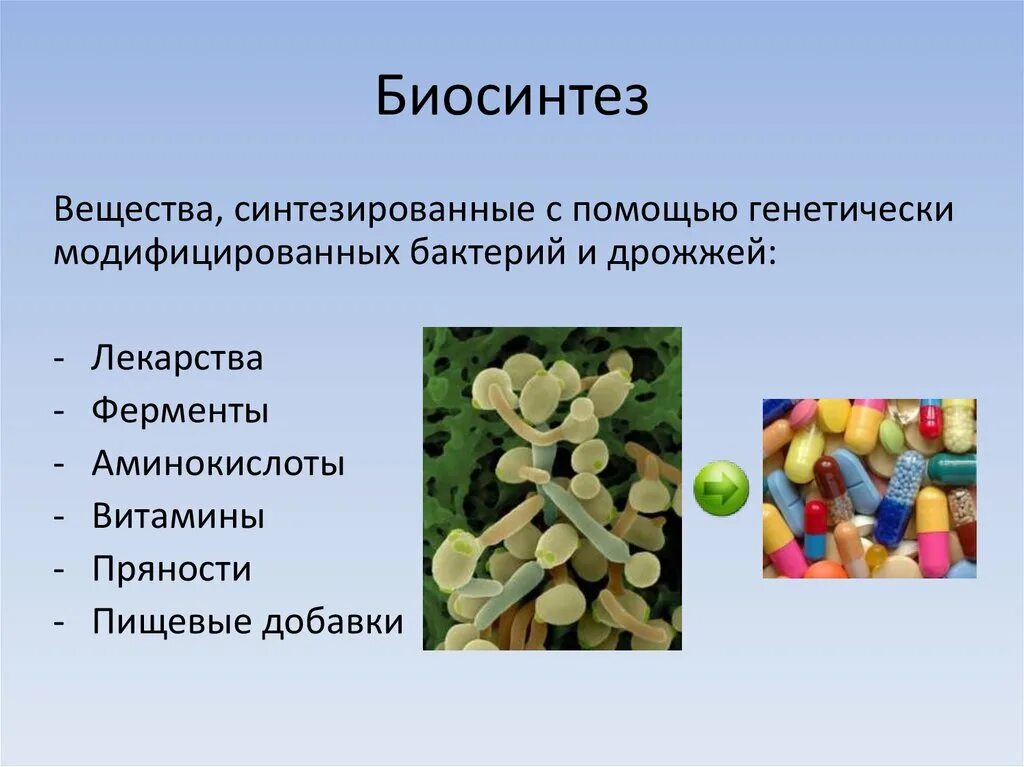 Синтетические природные соединения. Модифицированные микроорганизмы. Генетически модифицированные микроорганизмы. ГМО микроорганизмы. Генно-модифицированные бактерии.