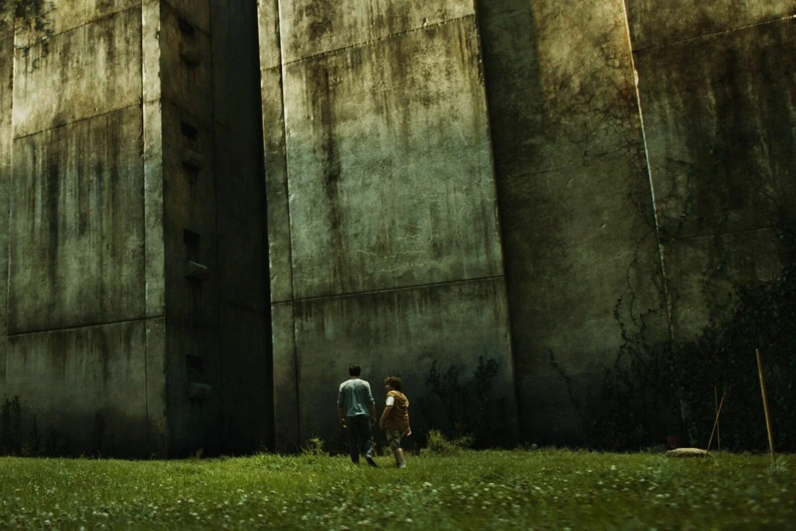 Maze Runner 1. Бегущий в лабиринте стена. Глейд Бегущий в лабиринте. Бегущий в лабиринте Лабиринт внутри.