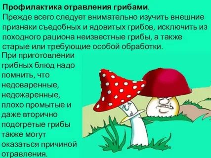 Симптомы отравления ядовитыми грибами