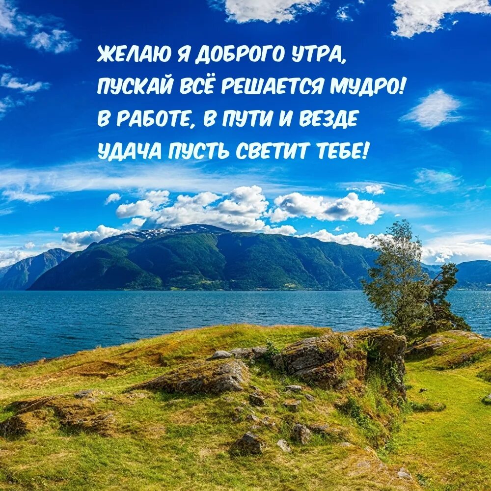 Решись быть мудрым 2019