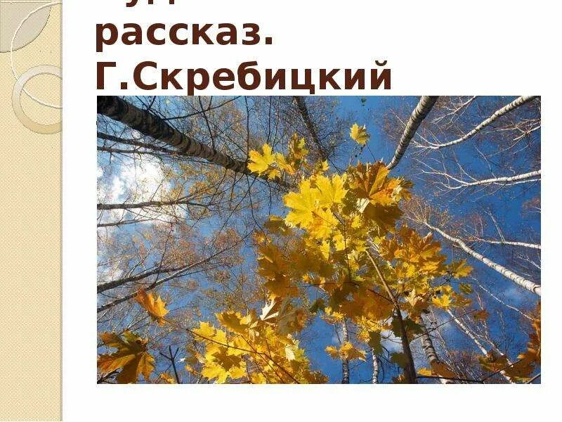Скребицкий осень. Г а скребицкий осень. Рассказ скребицкого четыре художника. Г а скребицкий осень. Скребицкий четыре художника иллюстрации.