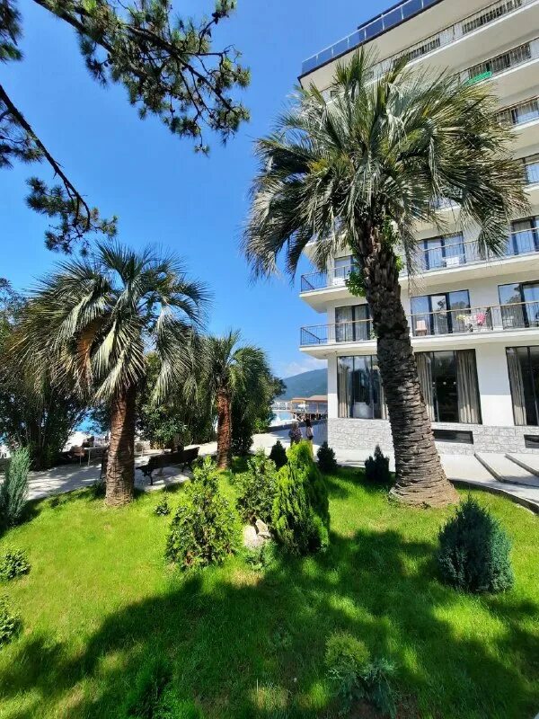 гагры первая линия. гагры первая линия. олива 1* абхазия, гагра. гостевой дом арлен цандрипш. абаата пицунда 4*.