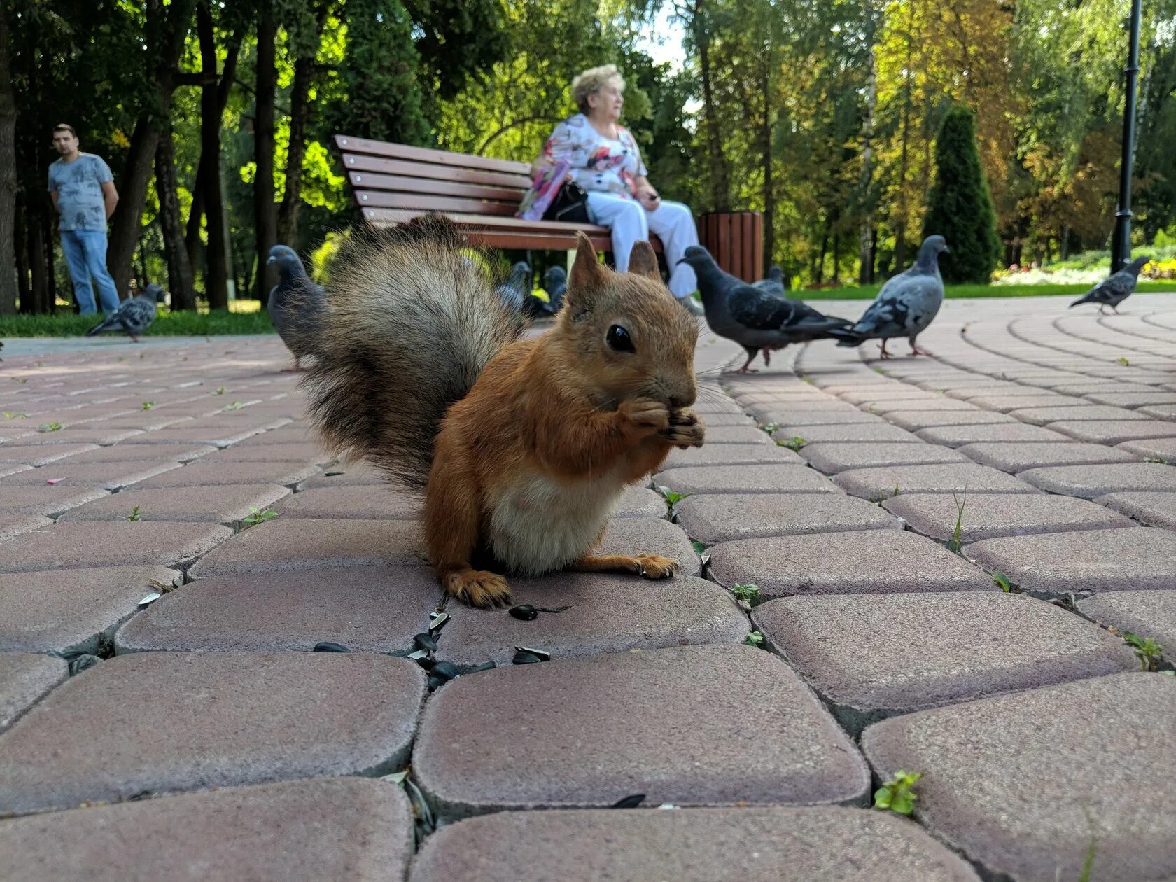 Горпарк Саратов белки