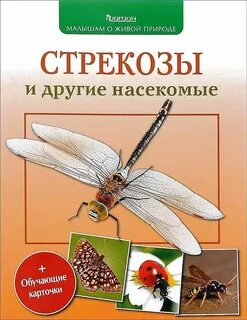 Стрекоза книги