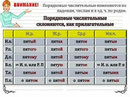 Таблица падежей и склонений с примерами Таблица падежей с примерами и окончаниями