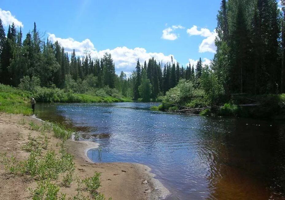 озеро синдор республика коми. весляна приток камы. река вымь рыбалка. весляна приток камы. река весляна пермский.