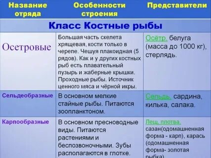 Классы хрящевых рыб таблица