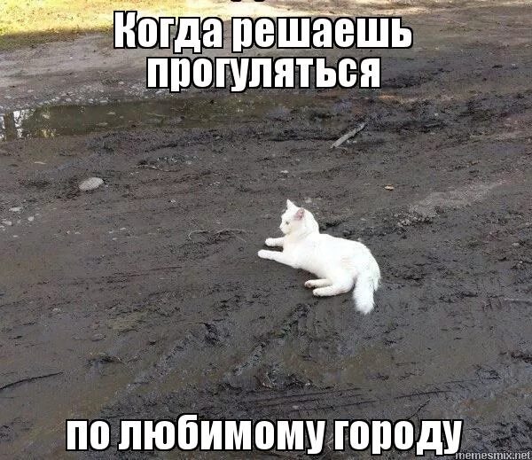 Омск-омск мем. Мем г. Городок мемы. Мем г. Мемы про города.