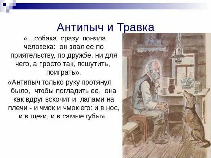 Антипыч кладовая солнца