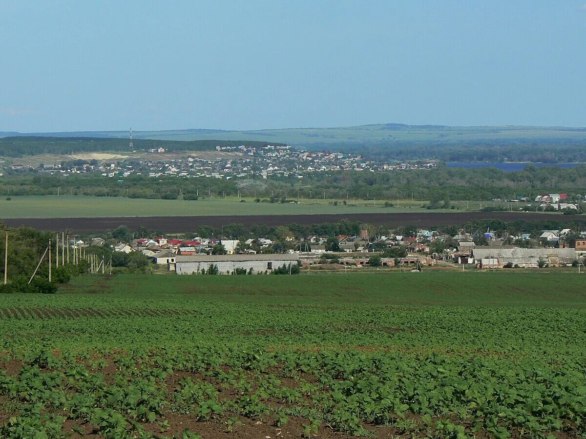 Саратовская область село елшанка. Село Елшанка Саратовская область. С Елшанка Воскресенский район Саратовская область. Село Елшанка Воскресенского района. Саратовская область, Воскресенский р-н, село Елшанка.