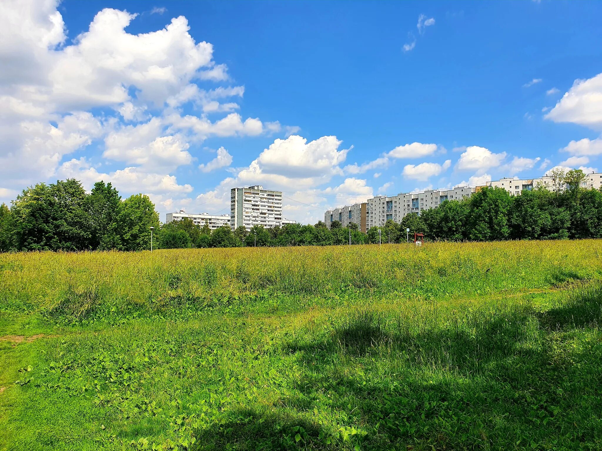 Холмы Ясенево. Парк Ясенево в Москве. Матвеевский парк Москва. Ясенево (район Москвы). Бесплатные в ясенево