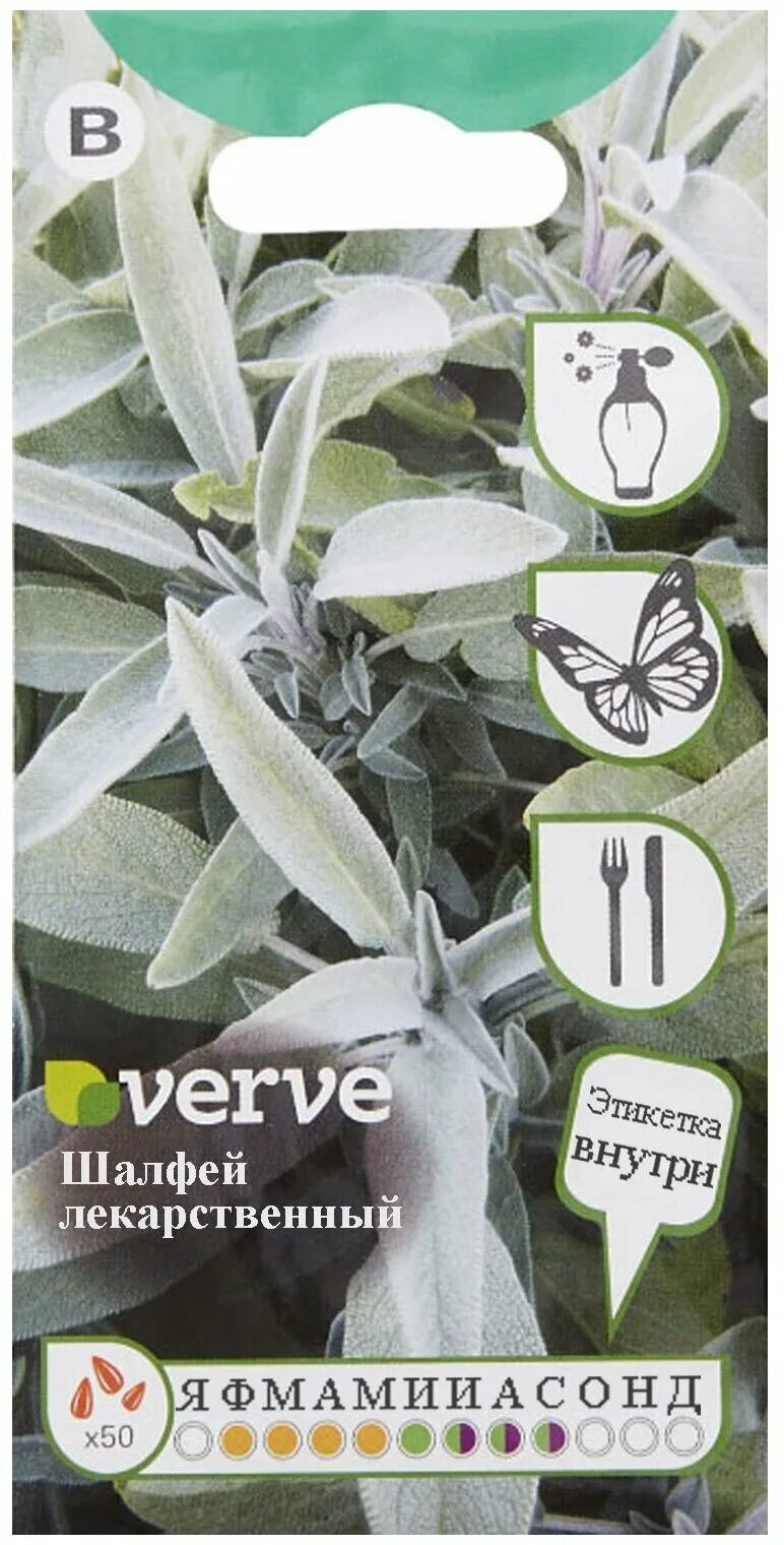 семена шалфея лекарственного. шалфей лекарственный кубанец. шалфей семена. шалфей лекарь лекарственный. шалфей кубанец семена.