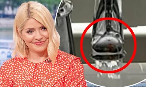 Holly Willoughbys : Who Are Holly Willoughby S Parents Everything You.