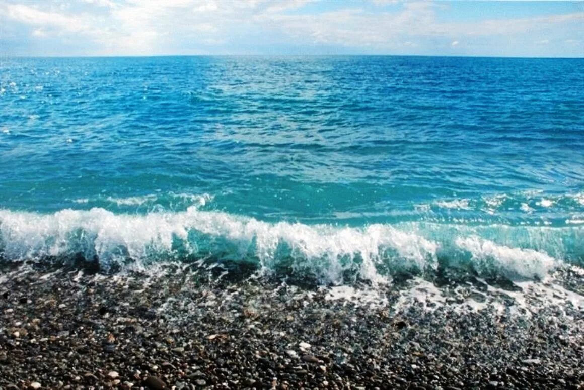 Почему закрыто море. Берег черного моря Сочи. Сочи Адлер море. Черное море Лазаревское. Черное море Сочи лето.